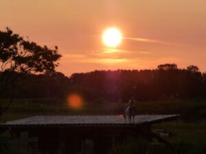 Avondbeeld1